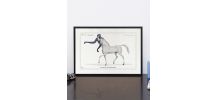 Chimère - gravure lithographie - le guéréval