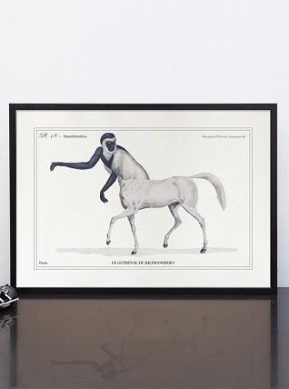 Chimère - gravure lithographie - le guéréval