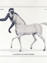Chimère - gravure lithographie - le guéréval