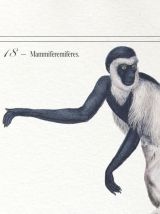 Chimère - gravure lithographie - le guéréval
