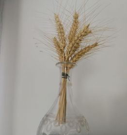 Carafe en verre 