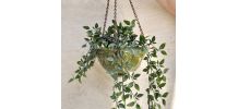 Suspension pour plantes