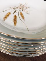 Lot de 8  belles assiettes à dessert en porcelaine Vintage