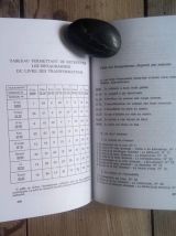Le livre des transformations Yi King 
