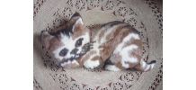 Coussin vintage (chat) - Edel Velour