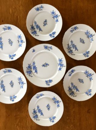 Superbe lot de 6 assiettes à dessert anciennes et leur plat 