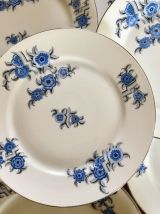 Superbe lot de 6 assiettes à dessert anciennes et leur plat 