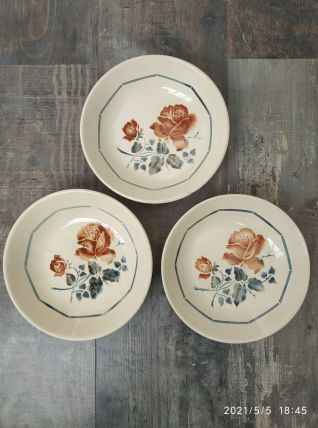 Assiettes creuses Digoin