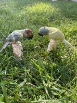 Couple de perroquet en pierres