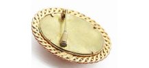 broche lucite fleurs 
