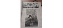 Livre ancien 1882 - la chasse illustrée -vie de nos campagne