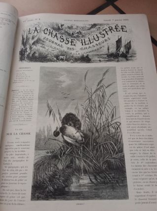 Livre ancien 1882 - la chasse illustrée -vie de nos campagne