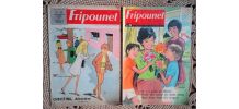 Lot de 11 magazines "Fripounet" - Années 60/70