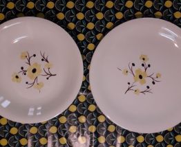Assiettes de service Salins série Catherine