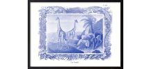  Lithographie gravure girafe animal - format A3