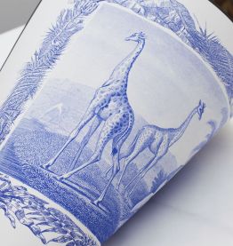 Lithographie gravure girafe animal - format A3