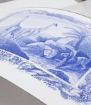  Lithographie gravure girafe animal - format A3