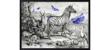  Gravure illustration zèbre - jardin d’acclimatation 1850