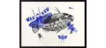 Gravure poisson insectes vintage
