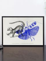 Gravure lithographie lémurien insectes animal