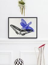 Gravure lithographie papillon insecte