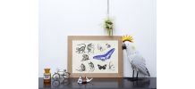 Gravure lithographie lémurien papillon insecte