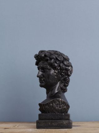 Tête David en bêton ciré noir