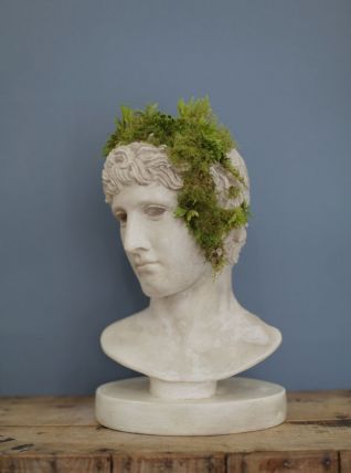  Tête romaine en plâtre ciré