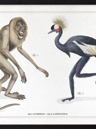 Chimère - gravure lithographie - le mirilion et l'oitèle roy