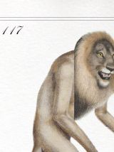 Chimère - gravure lithographie - le mirilion et l'oitèle roy