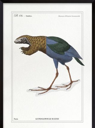 Chimère - gravure lithographie - le pangopoule