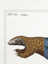 Chimère - gravure lithographie - le pangopoule