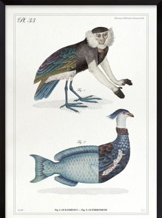 Chimère - gravure lithographie - le kamidouc et le parromich