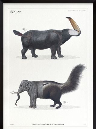 Chimère - gravure lithographie - le toucéros et le fourmipha