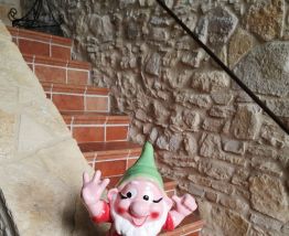 Nain de jardin