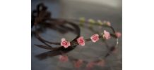 Couronne médiévale