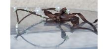 Couronne de fleurs médiévale