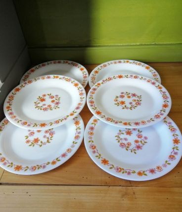 6 assiettes à dessert Arcopal 