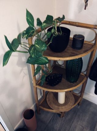 étagère d’angle vintage 