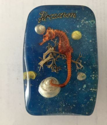 Inclusion en résine Hyppocampe année 70/80