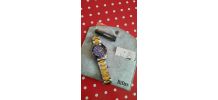 Montre biden