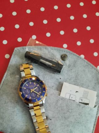 Montre biden