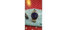 Montre biden