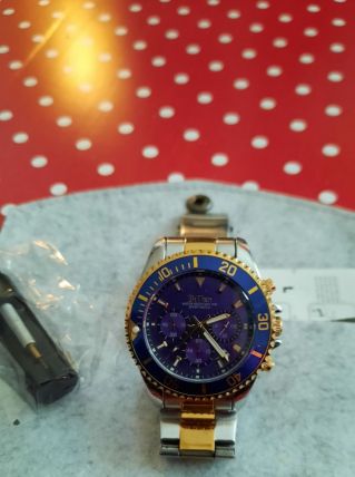 Montre biden