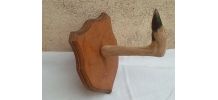 porte manteau vintage  pied  de chevreuil
