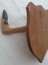 porte manteau vintage  pied  de chevreuil