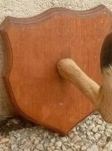 porte manteau vintage  pied  de chevreuil