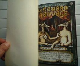 Le canard sauvage