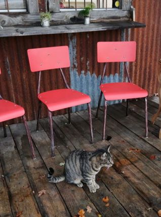 CHAISES D'ECOLIER ANNEE 50