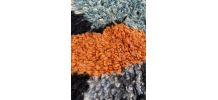 Tapis marocain Azilal 210×280 cm